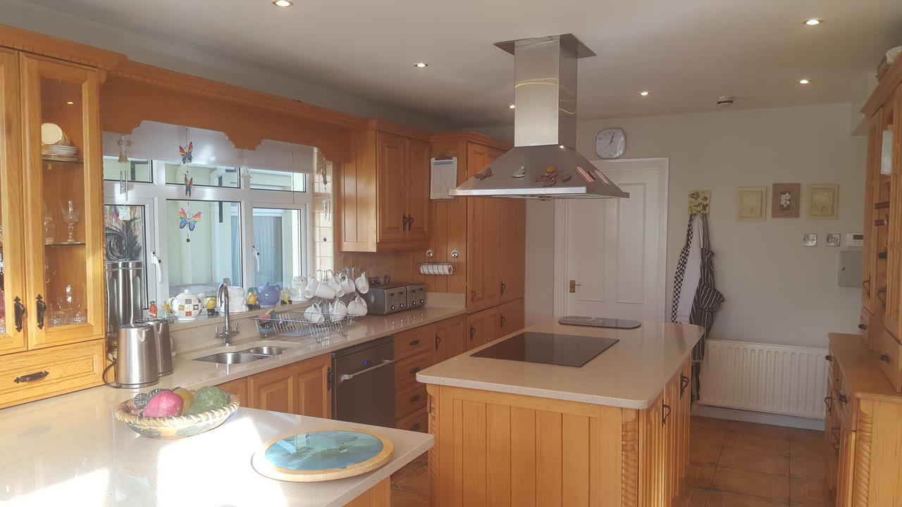 Rose Park House Bed & Breakfast Londonderry Dış mekan fotoğraf
