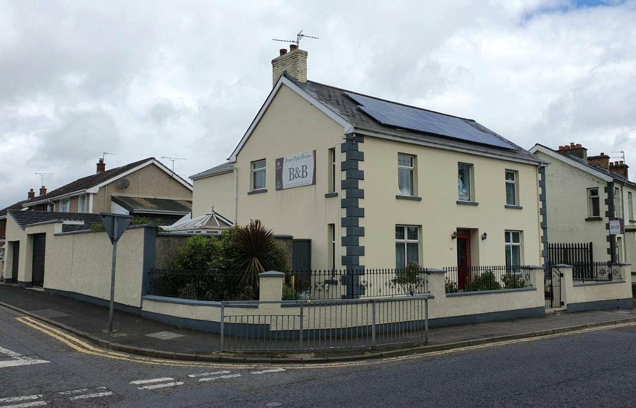 Rose Park House Bed & Breakfast Londonderry Dış mekan fotoğraf