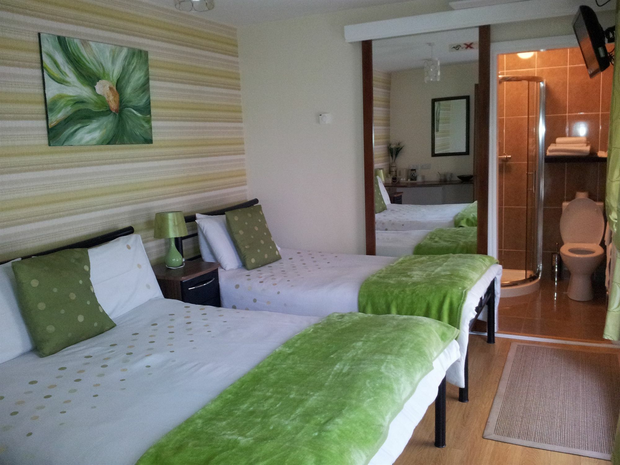 Rose Park House Bed & Breakfast Londonderry Dış mekan fotoğraf